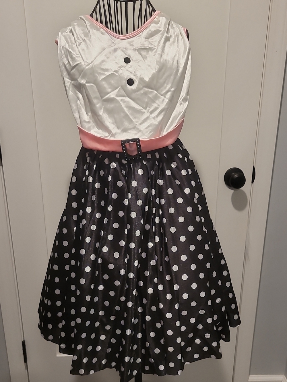 Pink Ladies Costume
